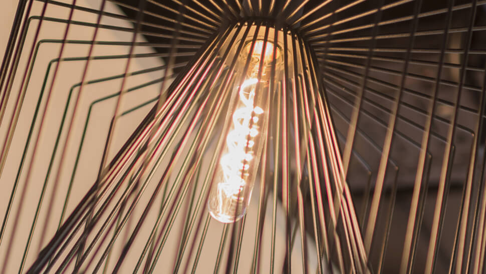 SEGULA Lines | Soft Line