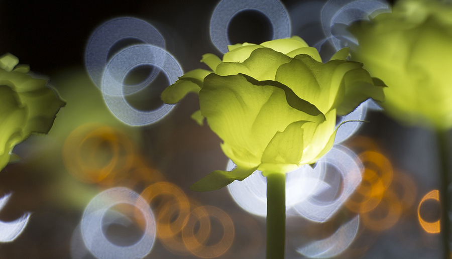 Wissensdatenbank | LED Mythos vs. Wahrheit | unnatürlich natürlich