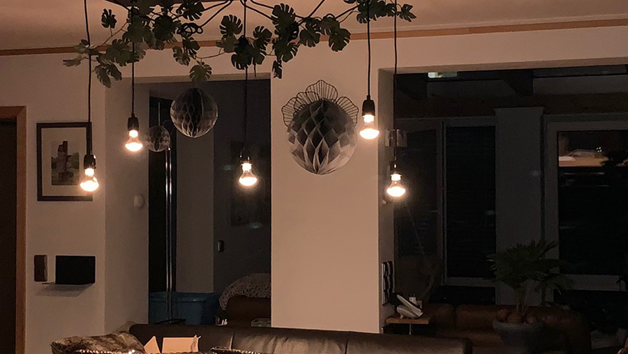 Wissensdatenbank | LED Mythos vs. Wahrheit | Ambient Dimming