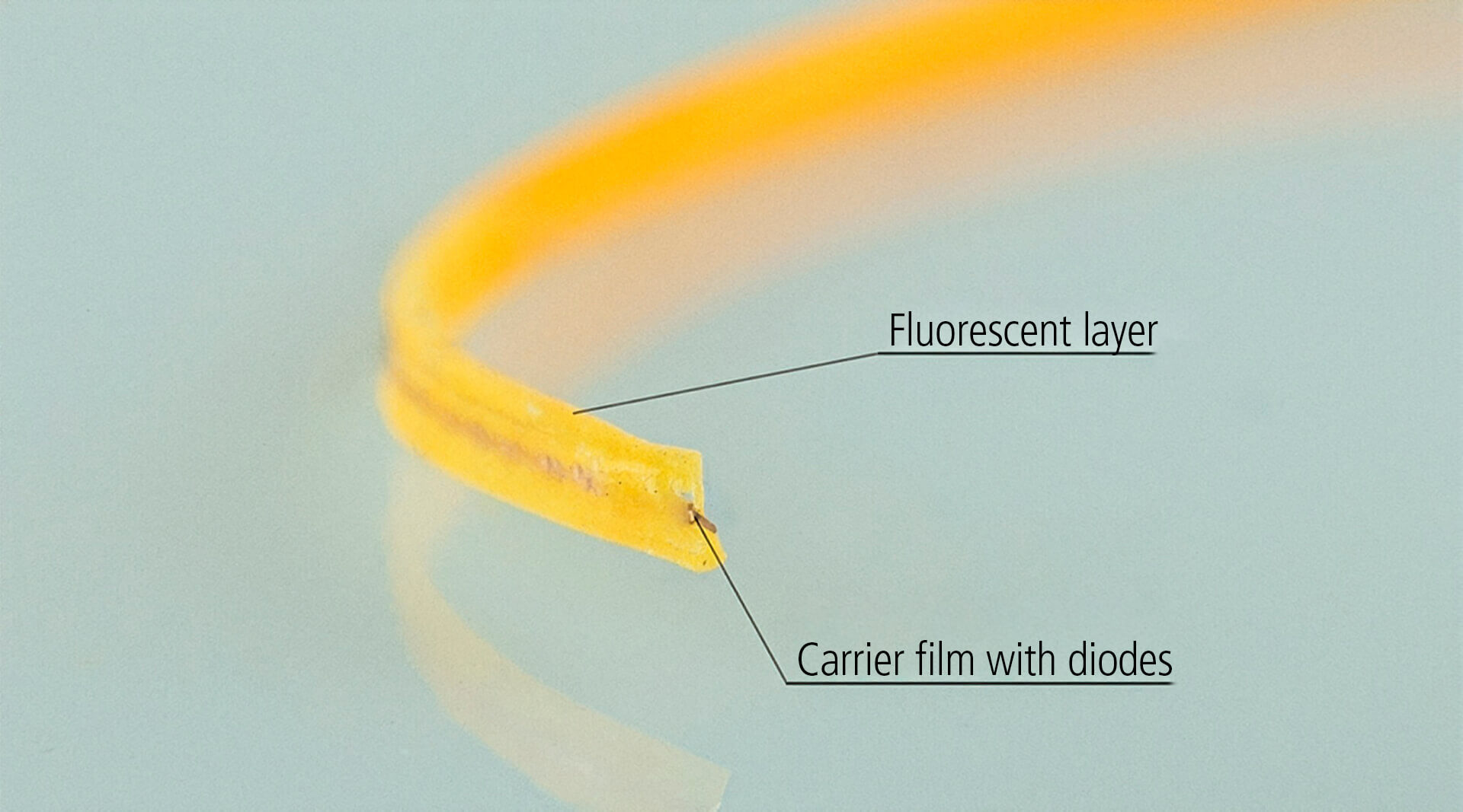 Knowledge Base | LED filament | Filament construction