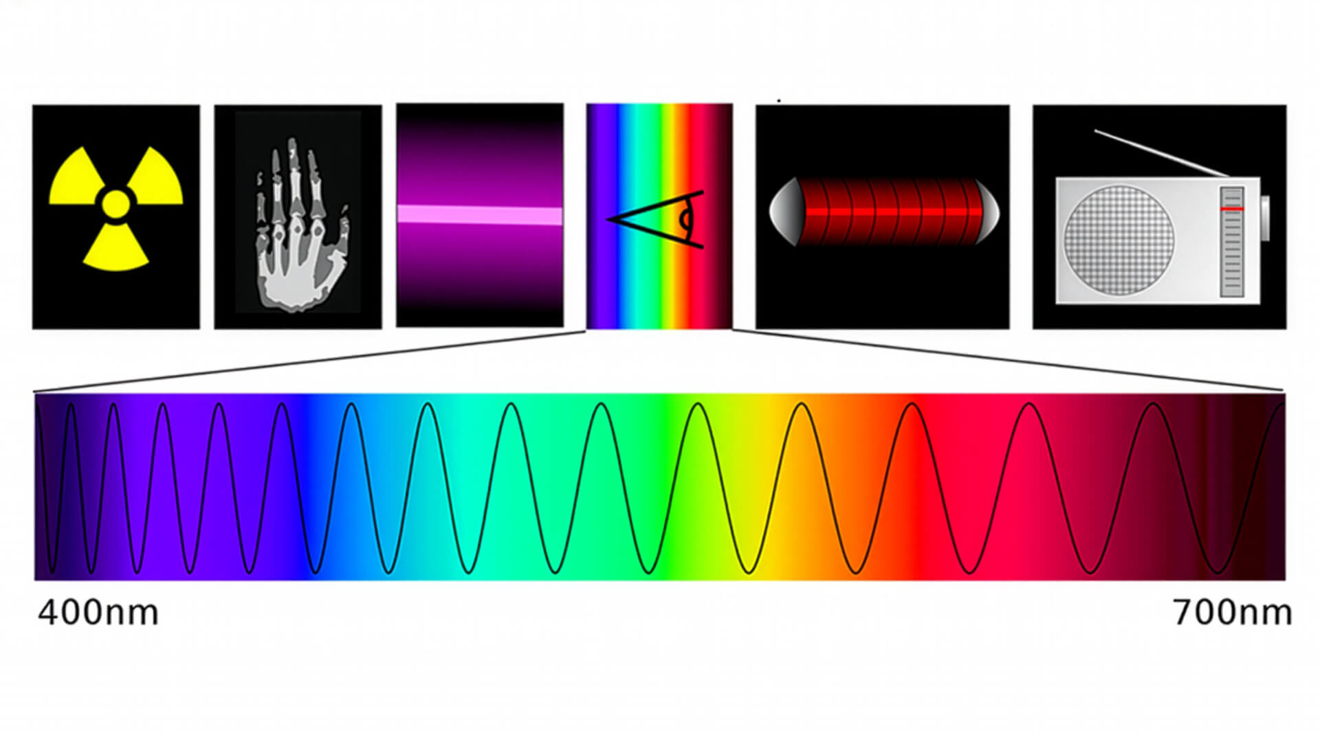 Wissensdatenbank | rund ums Licht | das Licht - was es ist | Lichtsprektrum von 400nm bis 700nm
