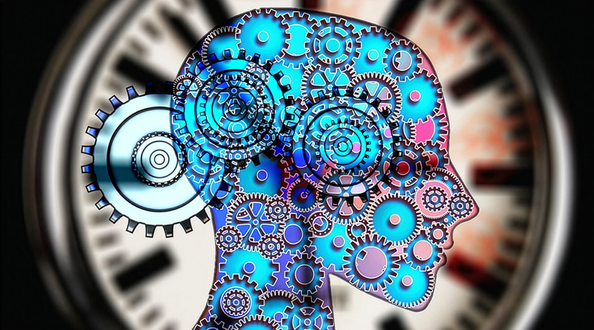 Wissensdatenbank | der menschliche Biorhythmus | innere Uhr
