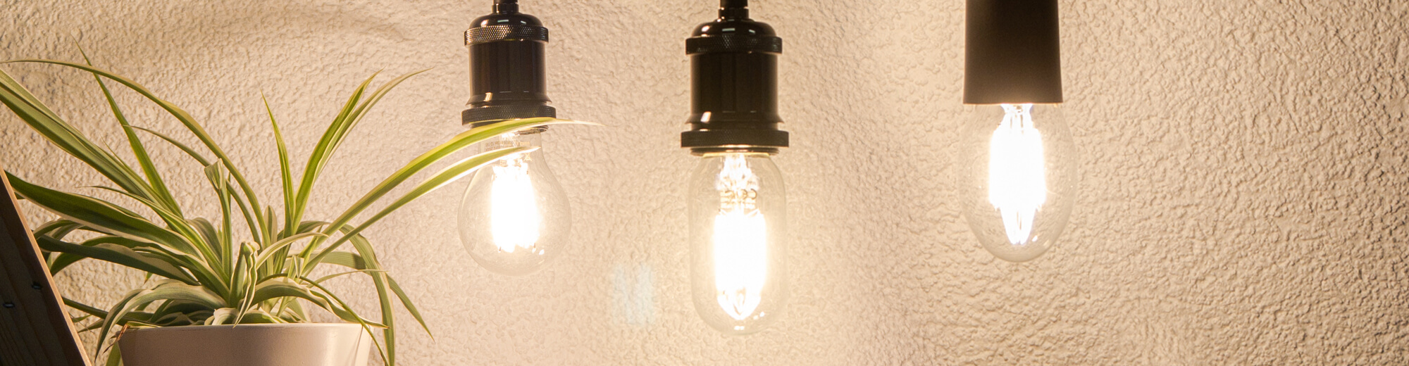 SEGULA Bright Line - LED Glühlampen mit hoher Lichtausbeute | SEGULA