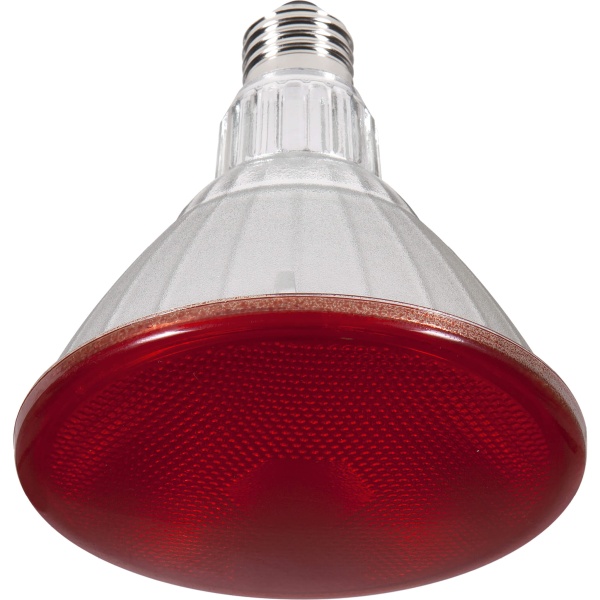 LED PAR38 Reflektor rot E27, 50764