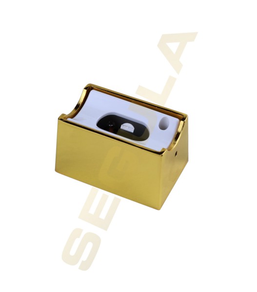 20122, Wandfassung, S14d, gold