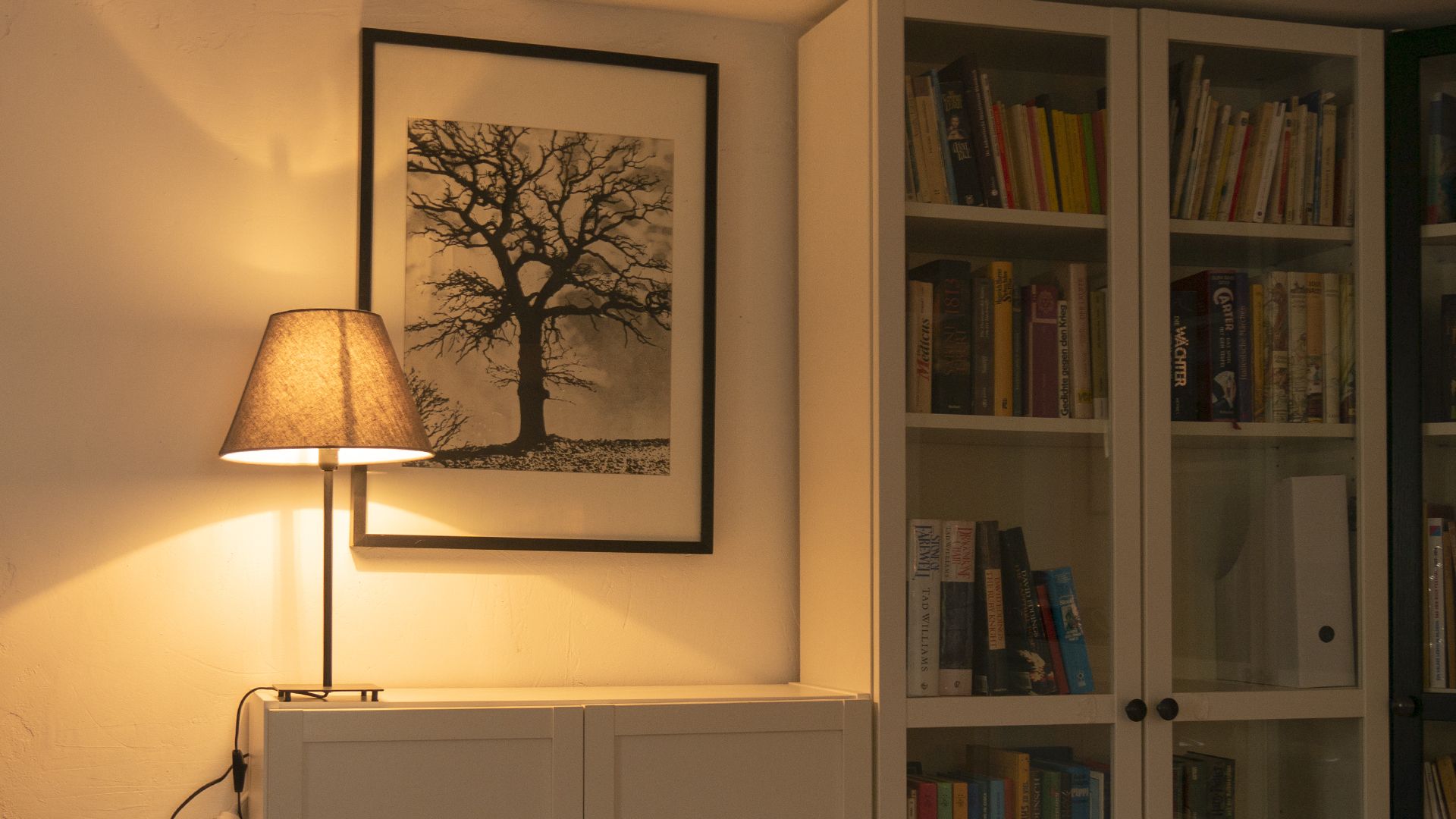 LED lamp, Reading Lamp, Reading light, Book shelf, Reading, Light in the room, LED Reading lamp, warm white, LED warmwhite, Kelvin, CRI, lampshade