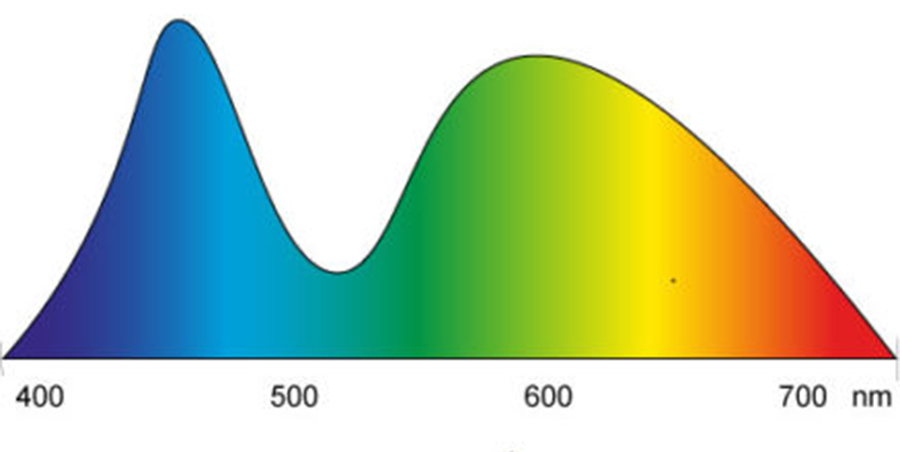 LED Lampen, Farbspektrum, Lichtspektrum, LED Spektrum, Filament LED, Fluoreszenz, Phosphor, Lichtfarbe, Farbtemperatur, gleichmäßiges Lichtprektrum, LED Blauanteil