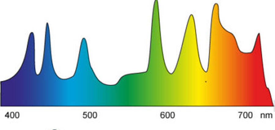 LED Lampen, Farbspektrum, Lichtspektrum, LED Spektrum, Filament LED, Fluoreszenz, Phosphor, Lichtfarbe, Farbtemperatur, gleichmäßiges Lichtprektrum, LED Blauanteil